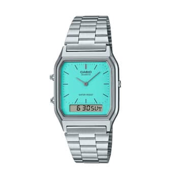 Casio preview